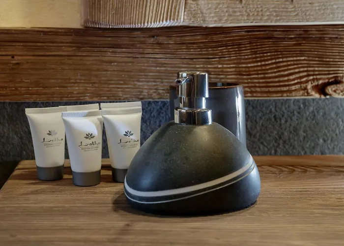 Bed & Breakfast Matterhorn Francois - Alpine With Private & Breakfast 4*